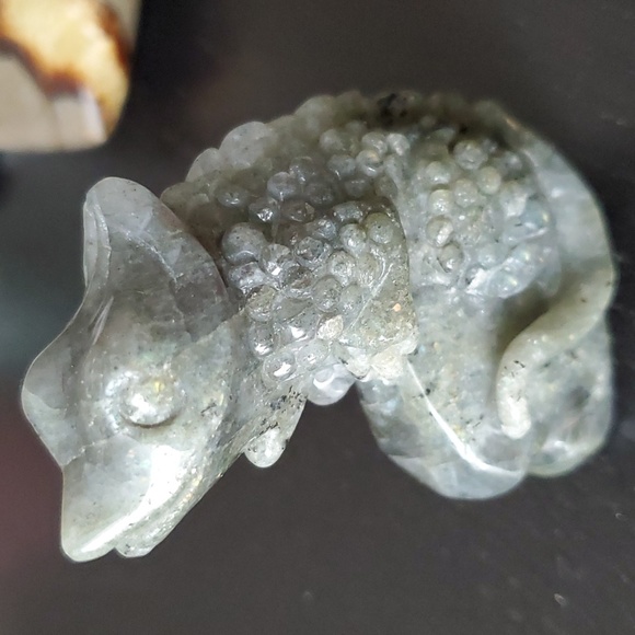 Labradorite Chameleon 🦎 - Picture 1 of 5